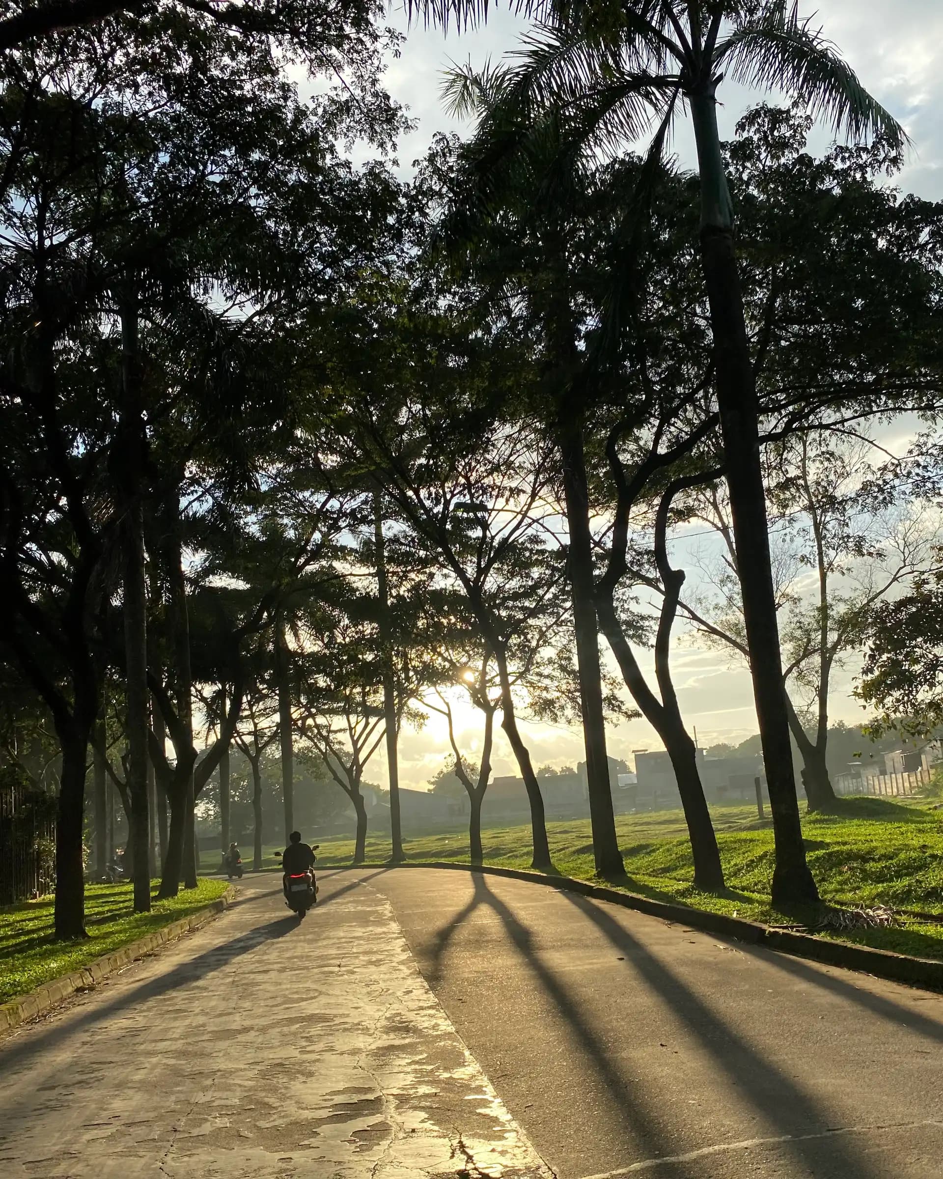 Access Point to Harvest City