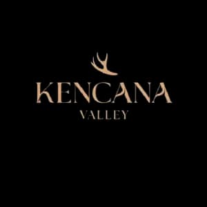 logocmh0ltkmn0005od1w09gwqdzx